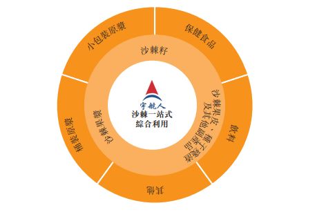 全球最大沙棘产品供应商宇航人赴港ipo 业绩高度依赖海外市场